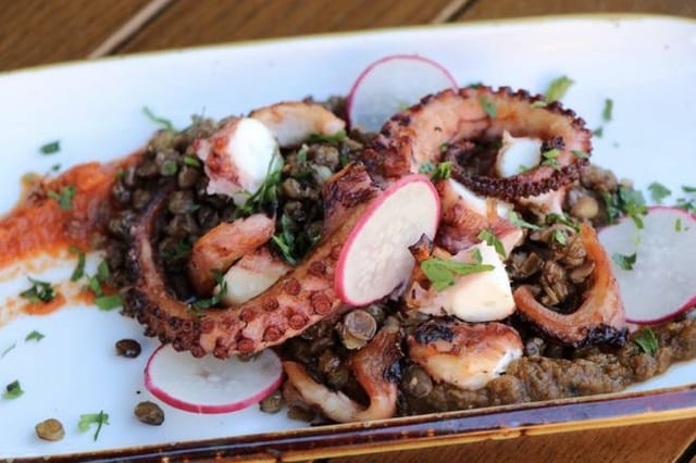 Octopus on Lentils.